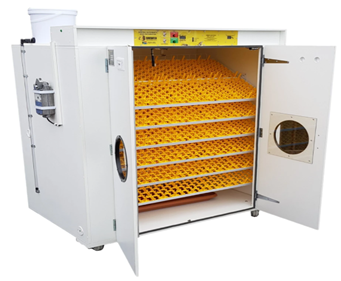Incubator