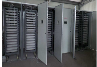 Incubator1